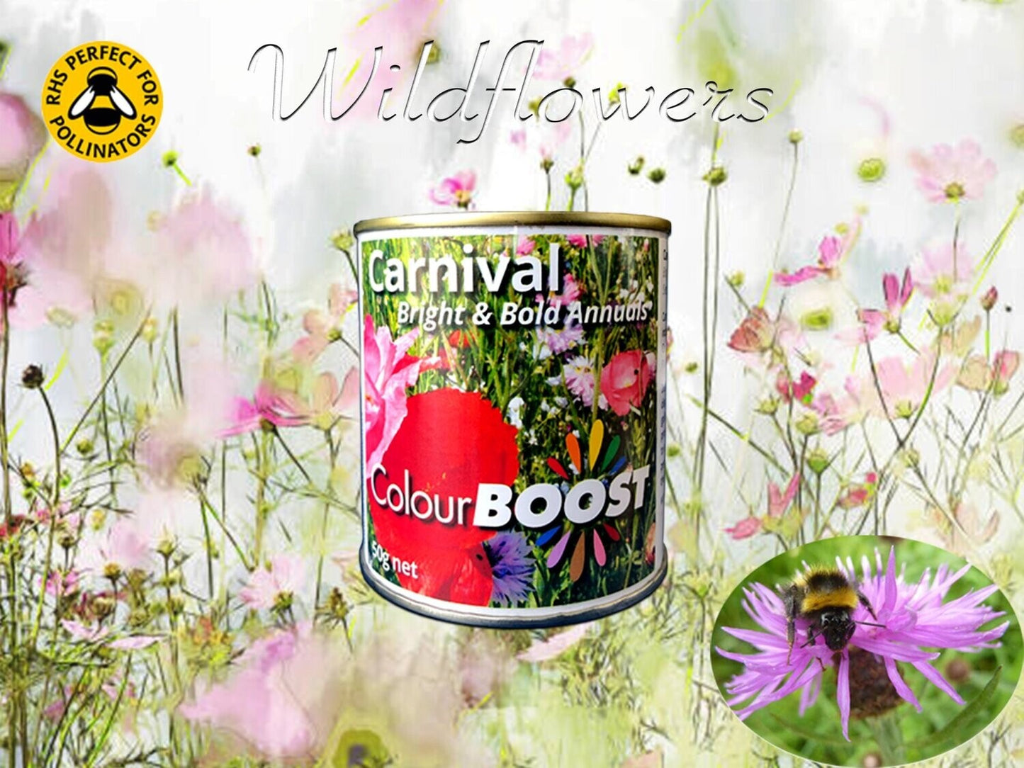 Wildflower Seeds (50g tin)