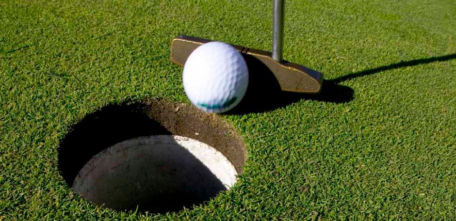 PM 15 Green Allbent (10kg bag)