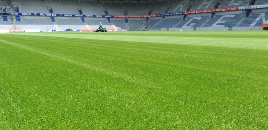 PM79 Playing Field (20kg bag)