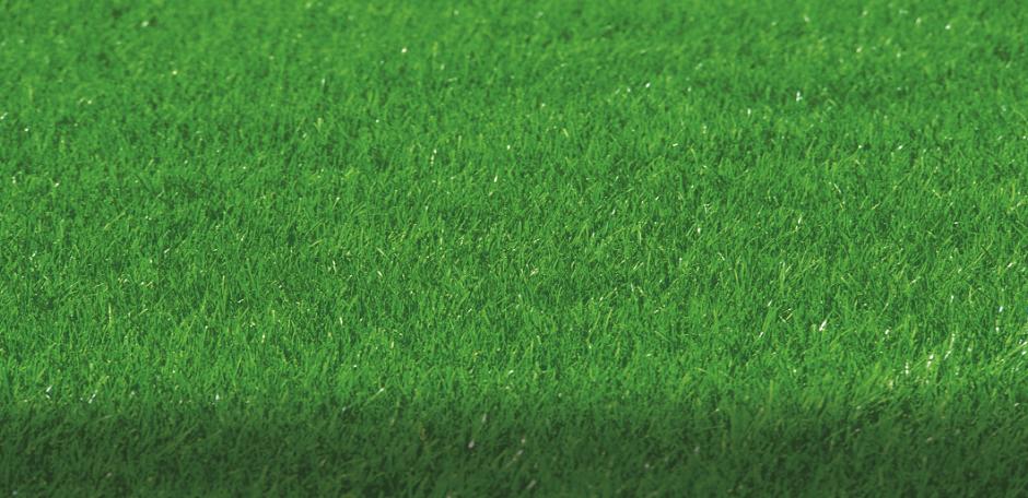 PM52 Fine Lawn (20kg bag)