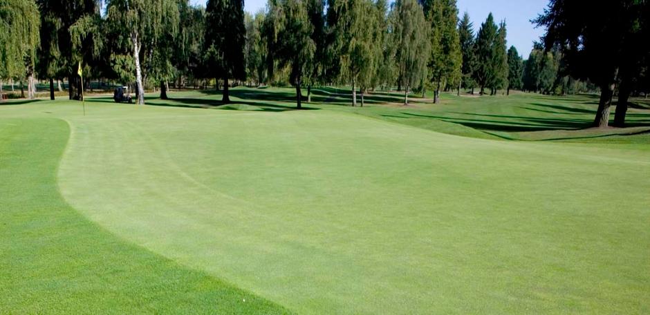 J Rye Fairway (20kg bag)