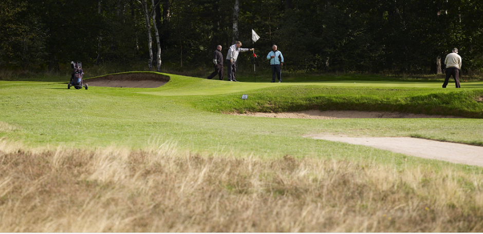 PM25 Gro-Slow (20kg bag)