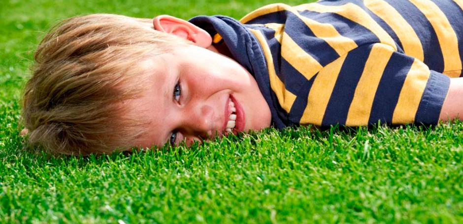 PM50 Quality Lawn (20kg bag)