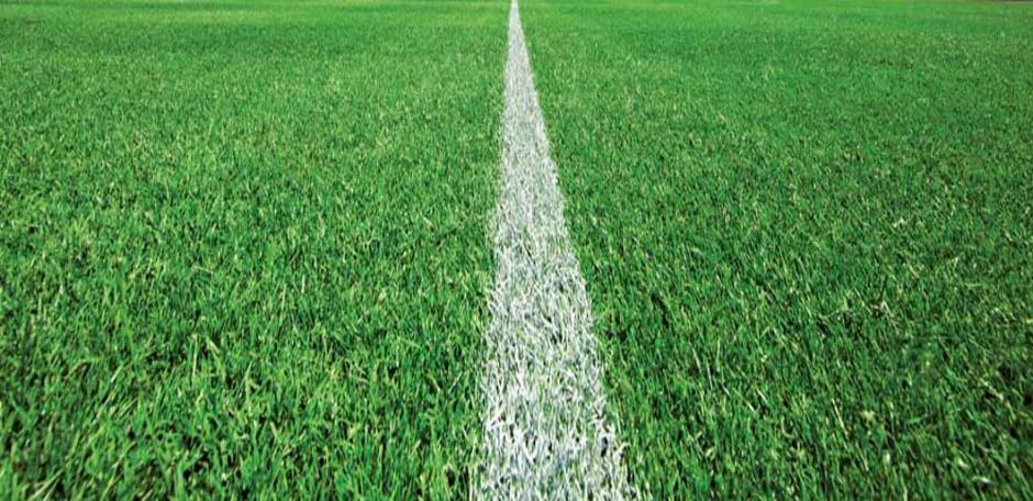 J Rescue Stadia (20kg bag)