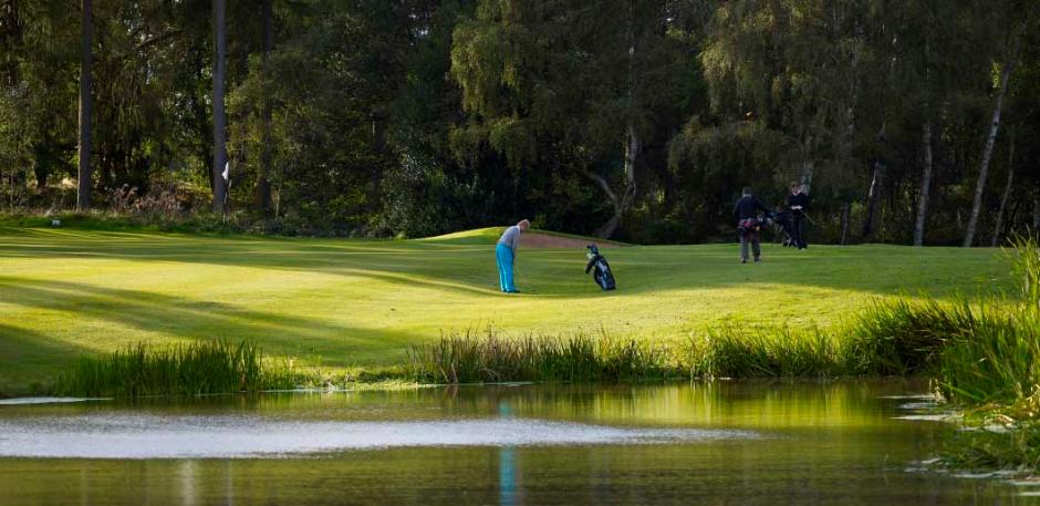 PM 10 Traditional Green (20kg)