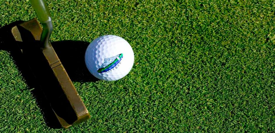 PM13 Fine Fescue Green (20kg bag)