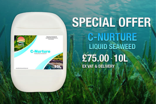 C-Nurture - 10L Offer