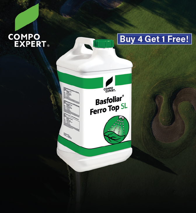 Ferro Top Offer (Buy 4 get 1 Free)