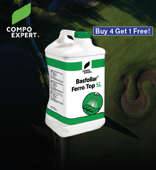 Ferro Top Offer (Buy 4 get 1 Free)