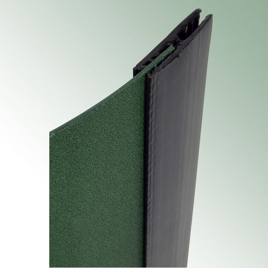 Chrysopa x 10,000 Chrysoperla carnea per bottle